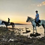 Horse Back Riding